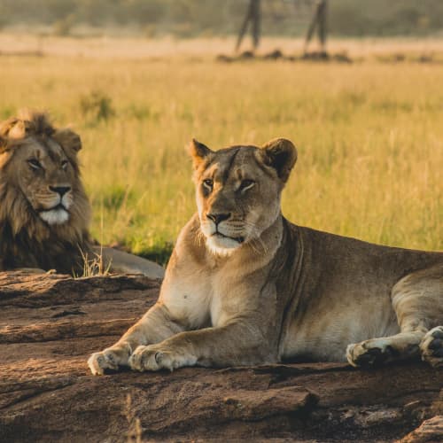Africa